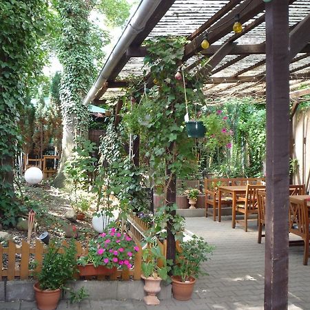 Gasthof & Pension Hause Хале Екстериор снимка